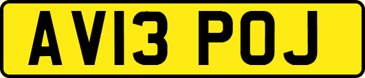 AV13POJ