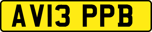 AV13PPB