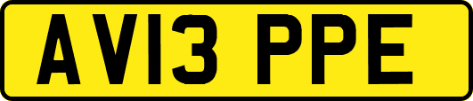AV13PPE
