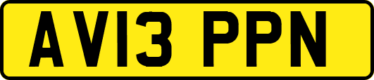 AV13PPN