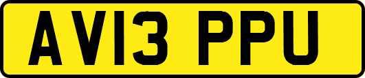 AV13PPU