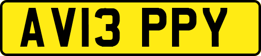 AV13PPY
