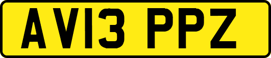 AV13PPZ