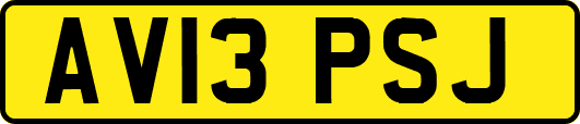 AV13PSJ