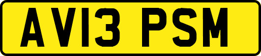 AV13PSM