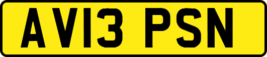 AV13PSN