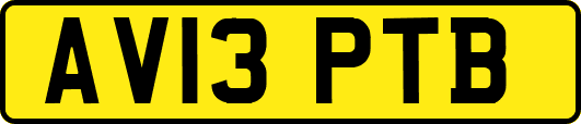 AV13PTB