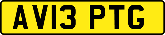 AV13PTG
