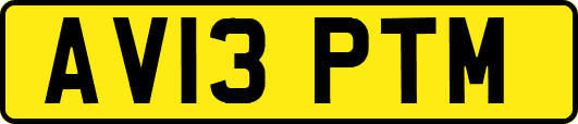 AV13PTM