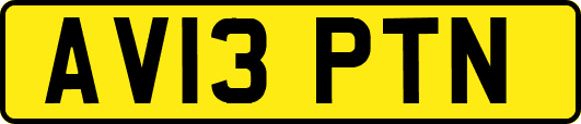 AV13PTN