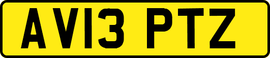 AV13PTZ