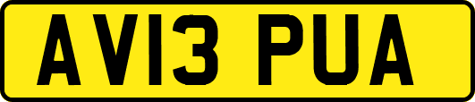 AV13PUA