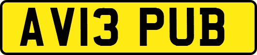 AV13PUB