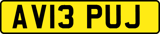 AV13PUJ