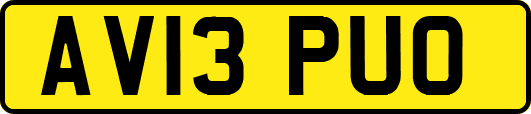 AV13PUO