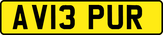 AV13PUR