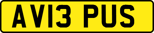 AV13PUS