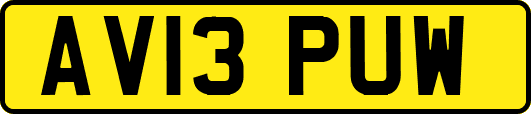 AV13PUW