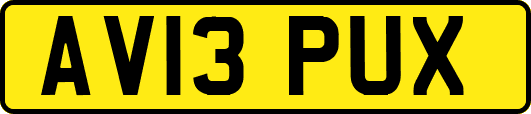 AV13PUX