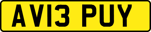 AV13PUY