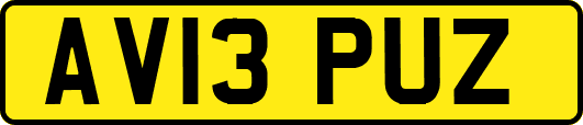 AV13PUZ