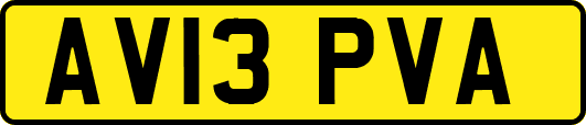 AV13PVA