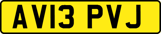 AV13PVJ