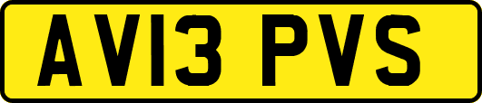 AV13PVS