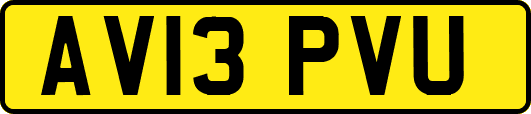 AV13PVU