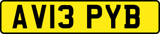 AV13PYB