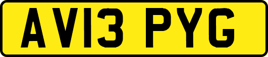 AV13PYG