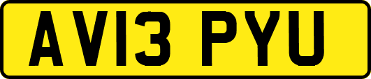 AV13PYU