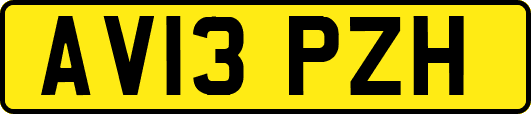 AV13PZH