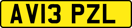 AV13PZL