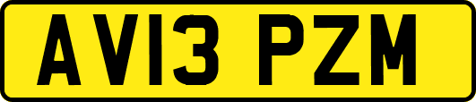 AV13PZM