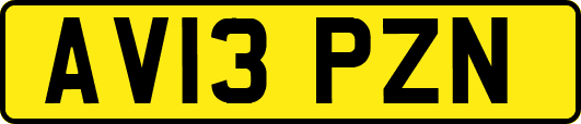 AV13PZN