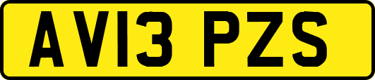 AV13PZS