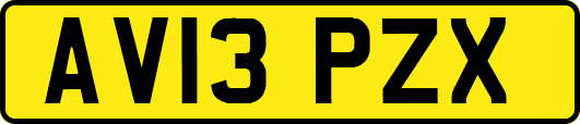 AV13PZX