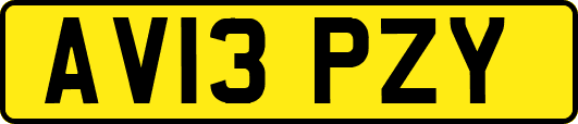 AV13PZY
