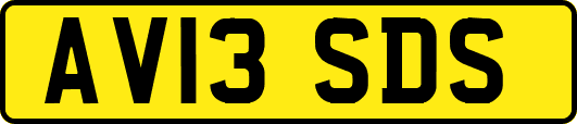 AV13SDS