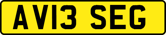 AV13SEG