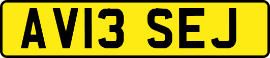 AV13SEJ