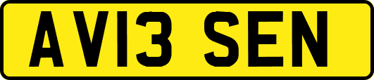 AV13SEN