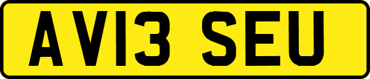 AV13SEU