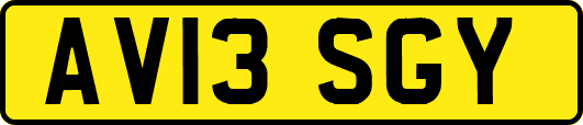 AV13SGY