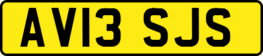 AV13SJS