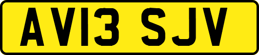 AV13SJV