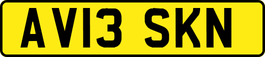 AV13SKN