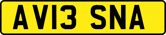 AV13SNA