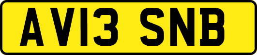 AV13SNB